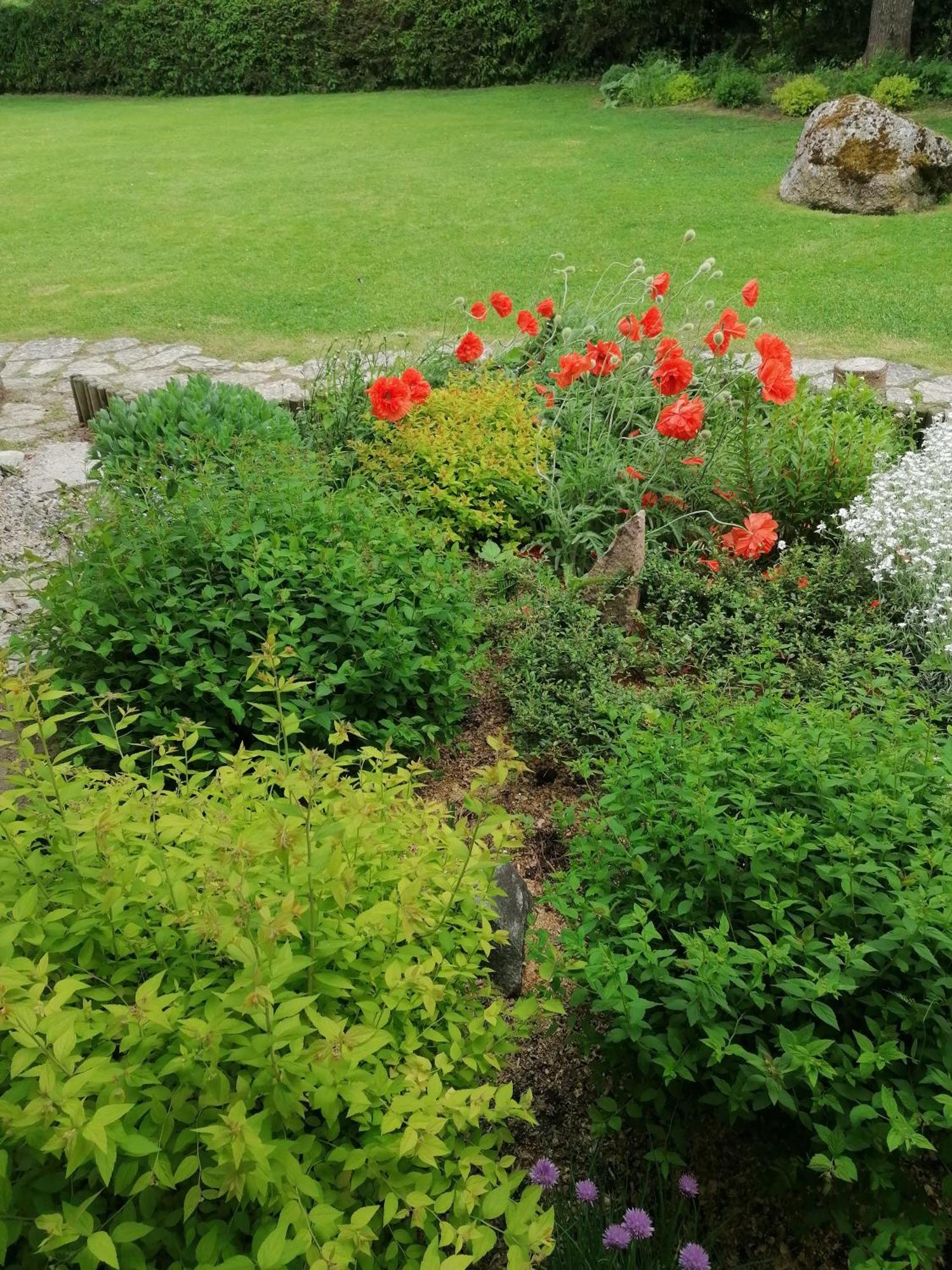 Maison d'hôtes River Rose *